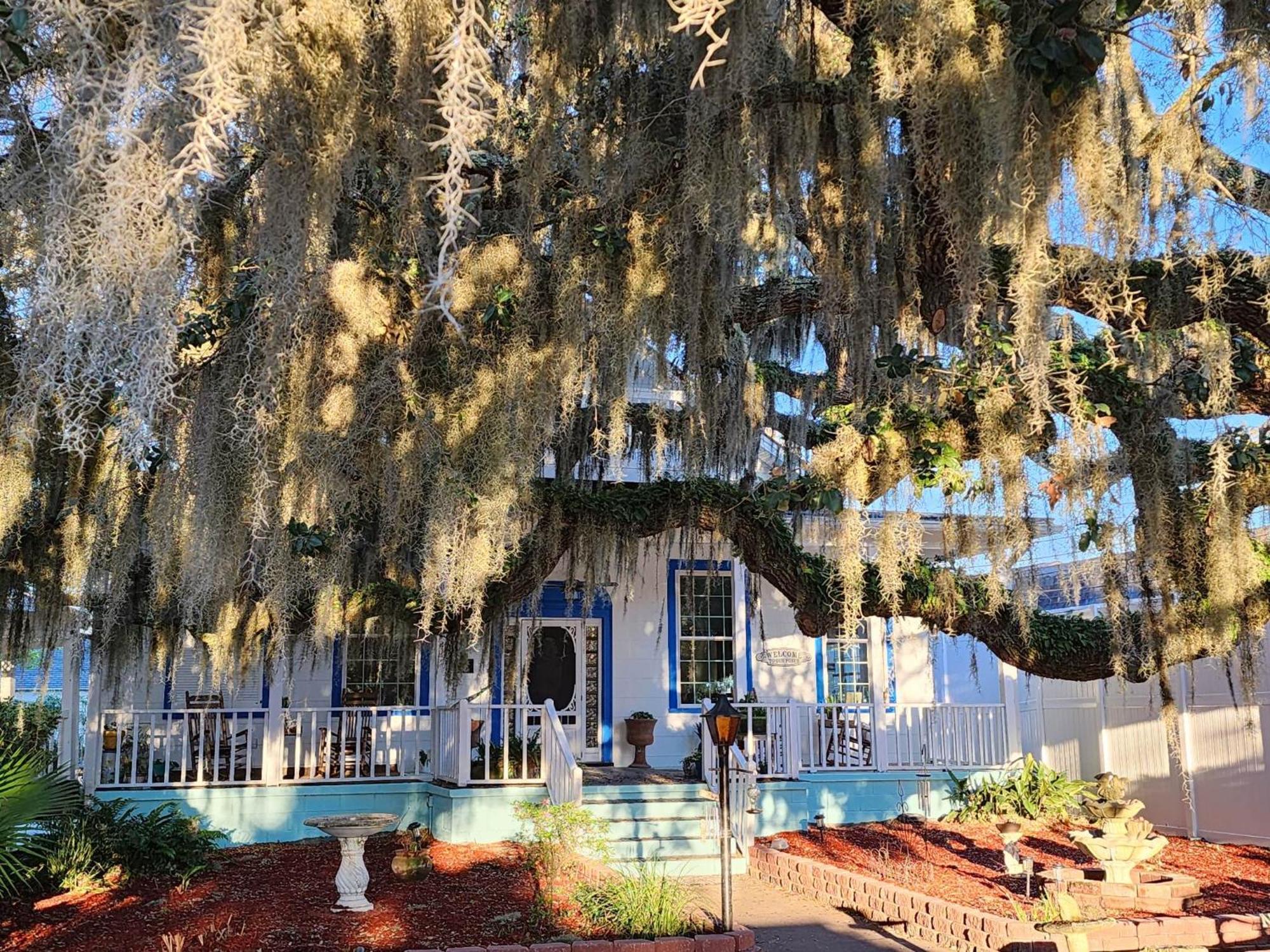 Tybee Island Inn Bed & Breakfast ภายนอก รูปภาพ